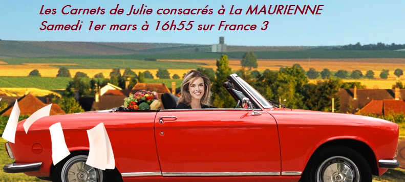 CARNETSDEJULIE